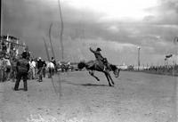 [Unidentified Cowboy riding bronc]