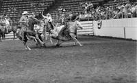 Ken Bledsoe Steer wrestling