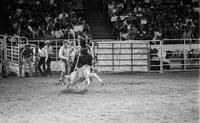 Chris Lybbert Calf roping