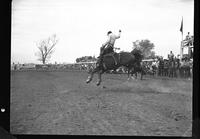 Frank Finley on Brass Rail