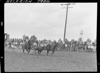 Buck McDougale Steer Wrestling