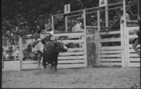 Joe Leonard on Bull #140