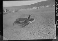 Howard Johnson Steer Wrestling