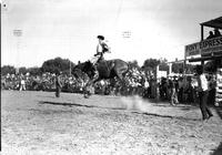 [Unidentified Cowboy atop airborne bronc]