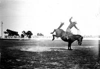 [Unidentified Cowboy riding bronc]