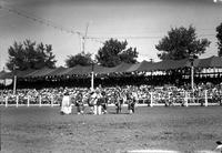 [Group of Indian men dancing in arena before spectators in stands]