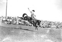 [Unidentified Cowboy riding bronc]