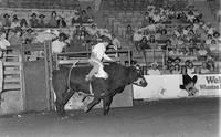 Randy Magers on Bull #8