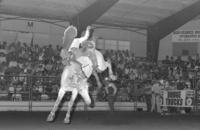 Dale Hirschman on Snowball