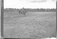 Doug Hutton on Bull #10