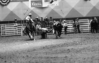 Chuck Spillers Steer wrestling