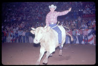 Unidentified Bull rider