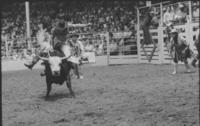 Jamie Davis on Bull #331