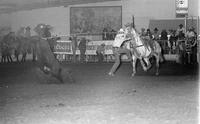 John Tibbetts Calf roping