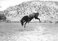 [Riderless Bronc completely airborne with only visible sign of rider is his boot behind bronc]