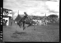 Chuck Shepard on Wagon Fire