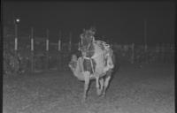 Unidentified Trick rider