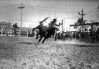 [Unidentified Cowboy riding twisted and bucking bronc as others look on]