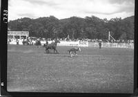 Ray Boss Calf Roping