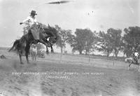 Babe Moonan on "Spider" Donnellson Rodeo