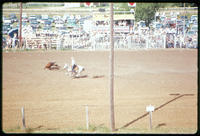 Ben Johnson Sr. Steer roping