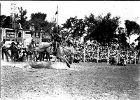 [Possibly Gene Creed riding bronc]