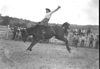 [Turk Greenough riding and staying with his mount in front of chutes at Sheridan Expo]