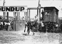 Logan Trowbridge Leaving "Booger Red" Livingston Rodeo