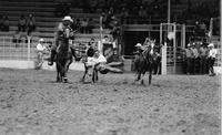 Dave Lewis Steer wrestling