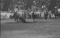 Terry Thompson Steer wrestling