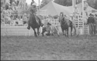 Paul Luchsinger Steer wrestling