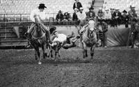 Jeff Green Steer wrestling