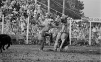 Doug Clark Calf roping