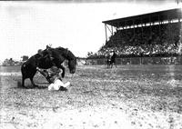 One Point Landing North Platte Rodeo