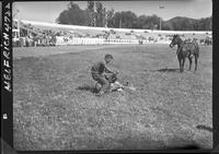 Calf Roping  (Close-up)  (tying)