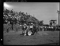 Zeke Bowery and Bull Cart