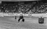 Unidentified Rodeo clowns Bull fighting