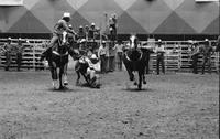 Byron Walker Steer wrestling