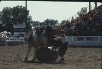 Rodeo clown Bob Romer Bull fighting