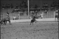 Chip Johnson Calf roping