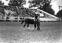 [Unidentified rodeo clown being pushed from behind by mule]