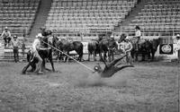 Tom Epperson Calf roping