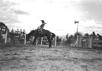 [Possibly Mary Parks riding bronc]