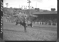 Gene Tyler on Lightening Creek