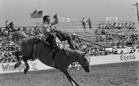 Unidentified rider on unknown mount