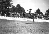 [Unidentified cowgirl riding bronc]