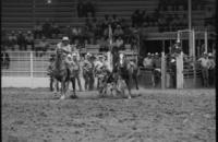 Jack Wiseman Steer wrestling