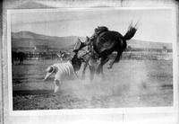 [Bucking bronc and unidentified cowboy leaving bronc head-first]