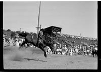 Ken Maynard on Brown Jug