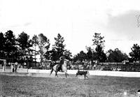 [Unidentified calf roper]